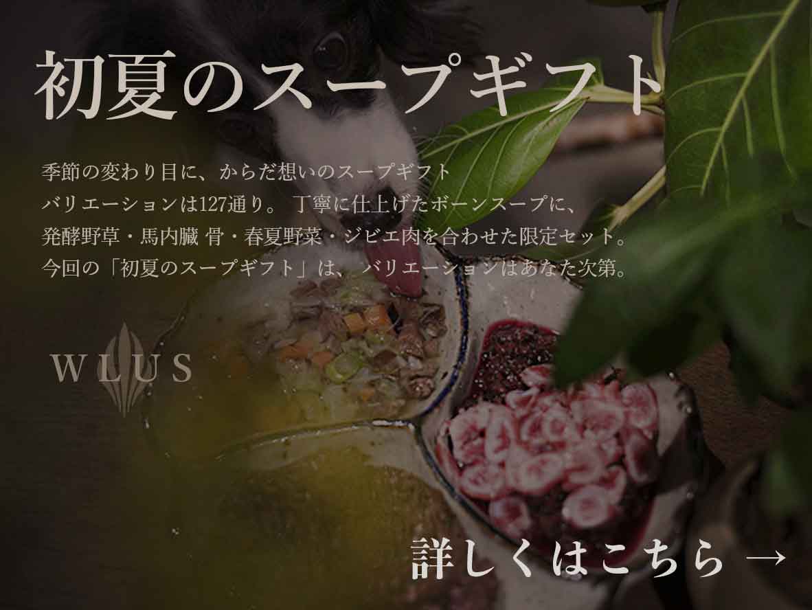 クロムエルシェイク 犬 生食