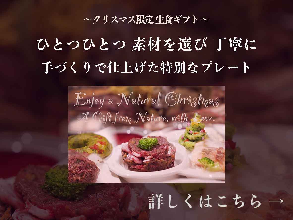 クロムエルシェイク 犬 生食