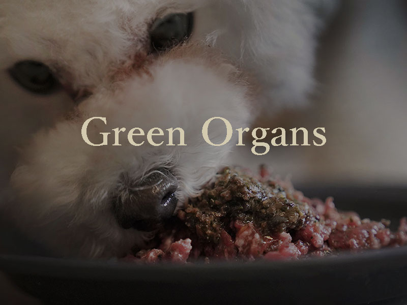 ウルス グリーンオーガンズ