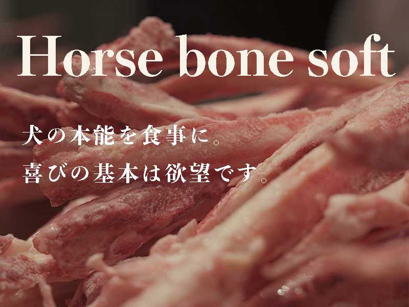 ウルス　ホースボーンソフト