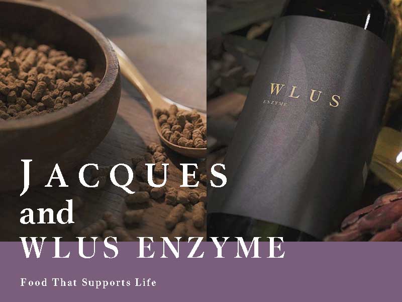 ウルスエンザイム