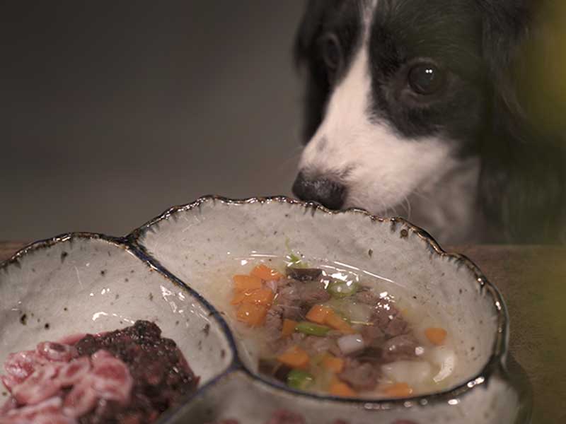 ギフト商品　ウルス