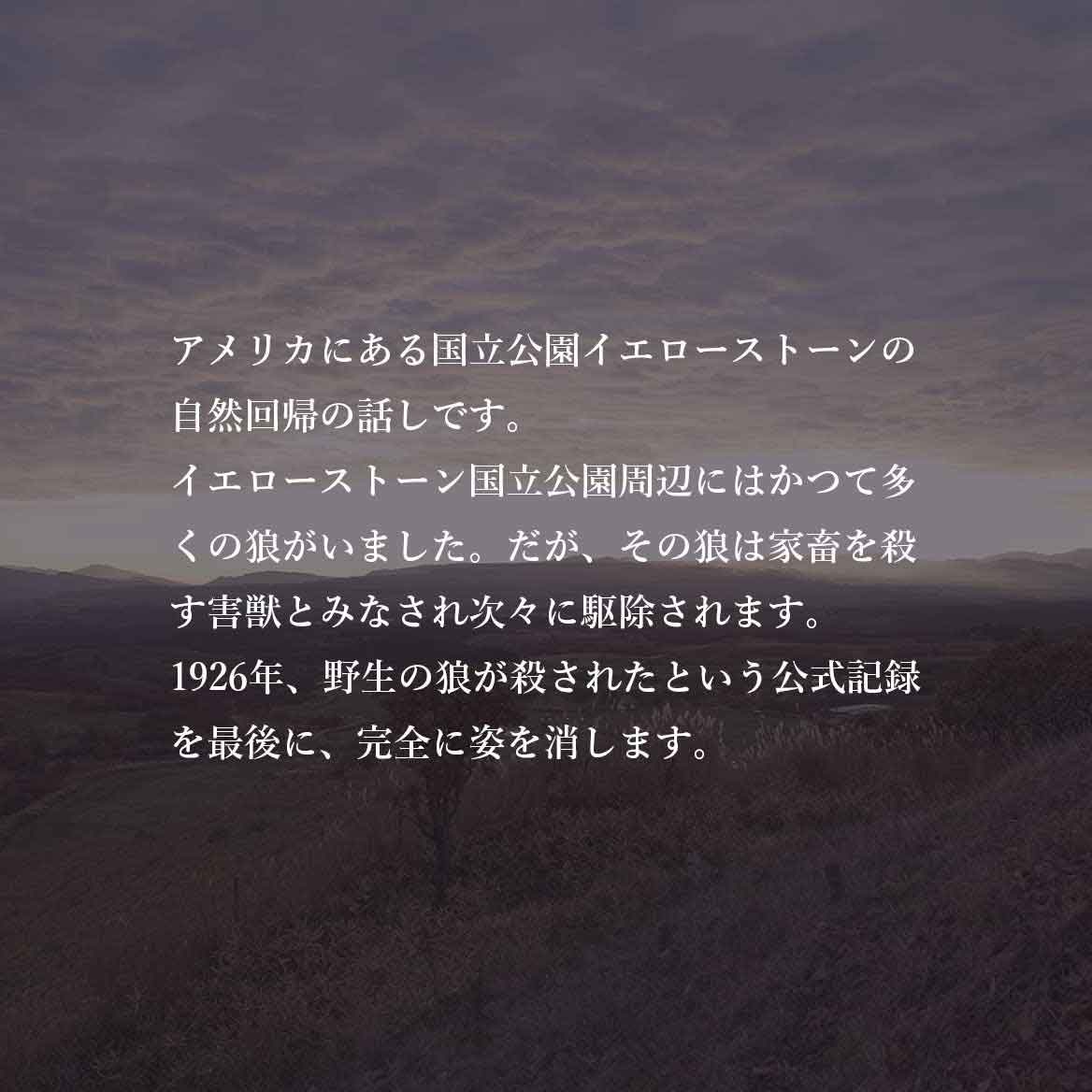 発酵野草ドッグフードウルス