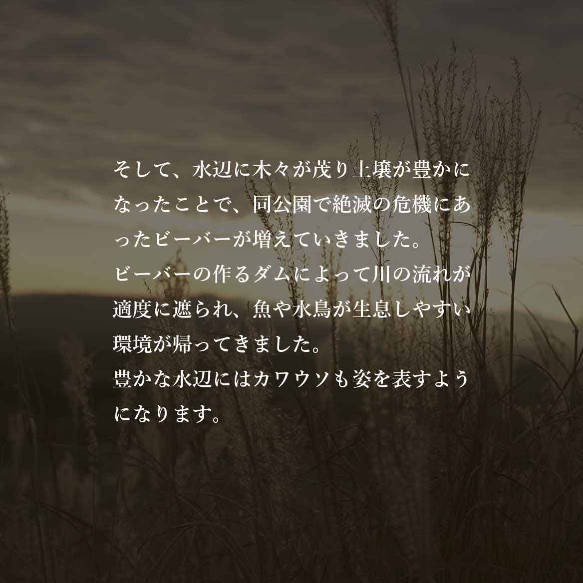 発酵野草ドッグフードウルス