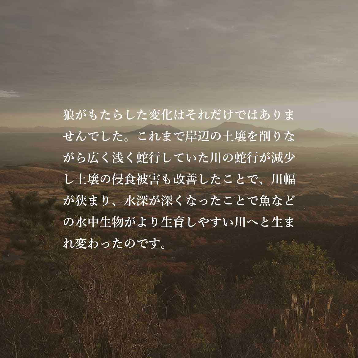 発酵野草ドッグフードウルス