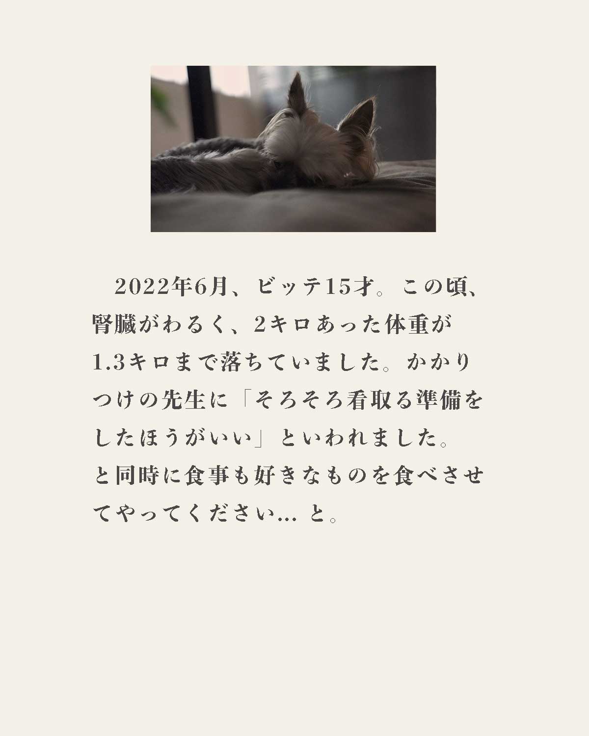 発酵野草ドッグフードウルス