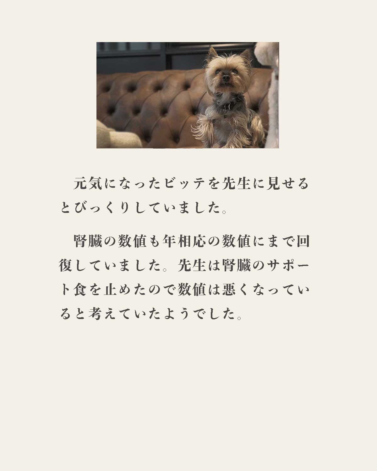 発酵野草ドッグフードウルス