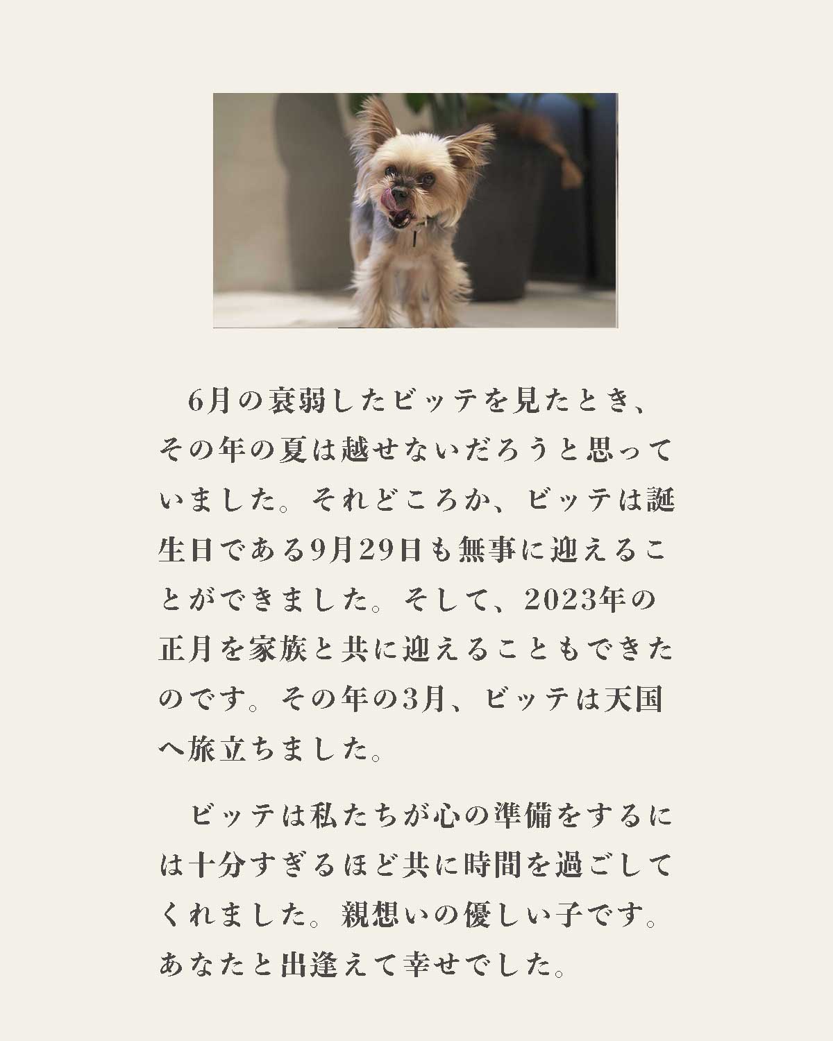 発酵野草ドッグフードウルス